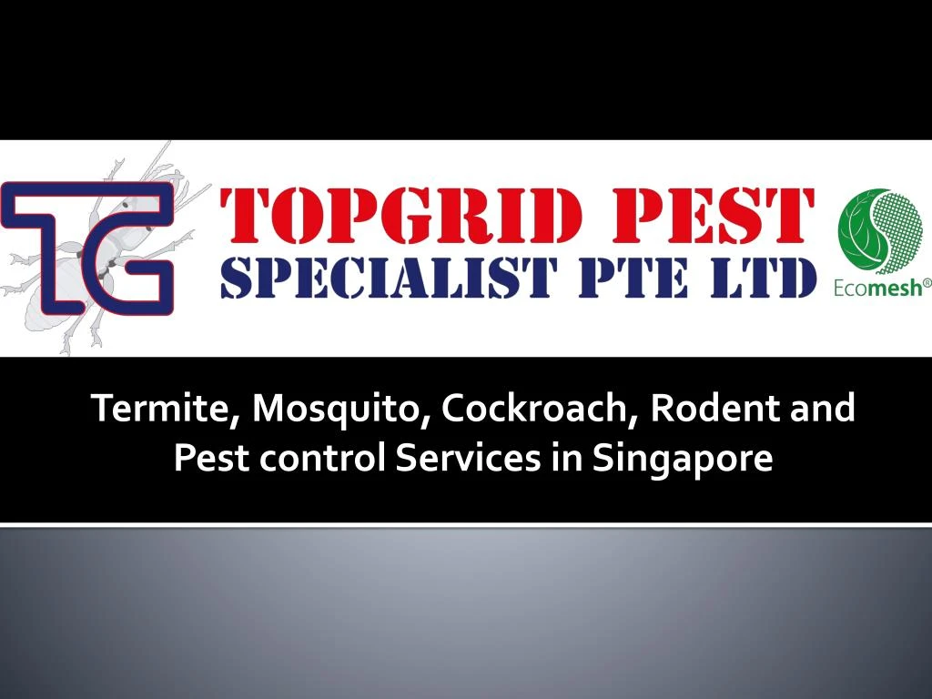 termite mosquito cockroach rodent and pest control services in singapore