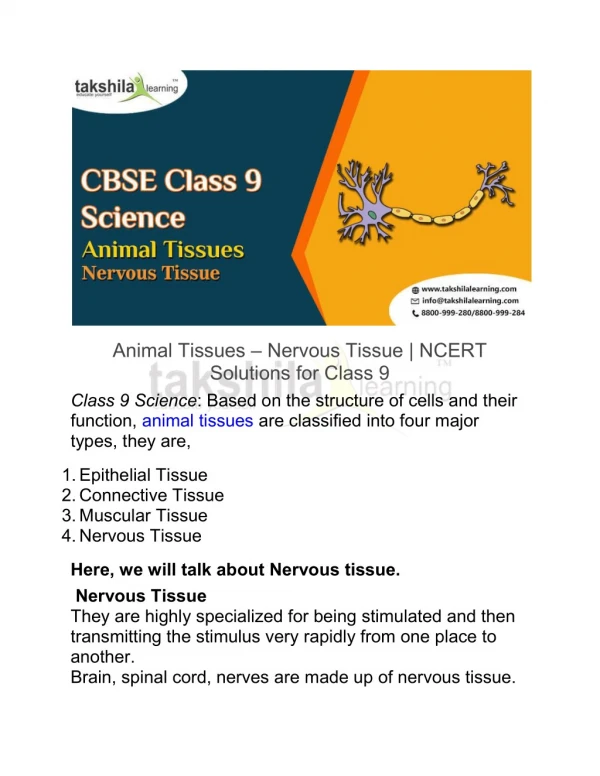 Animal Tissues – Nervous Tissue | NCERT Solutions for Class 9