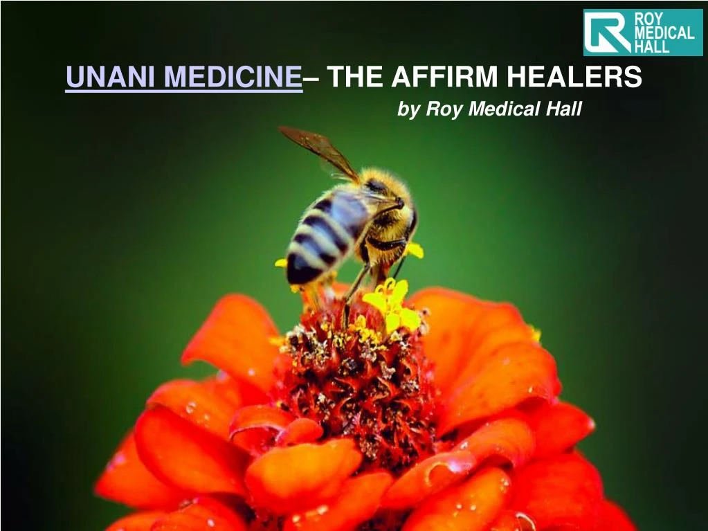 unani medicine the affirm healers by roy medical