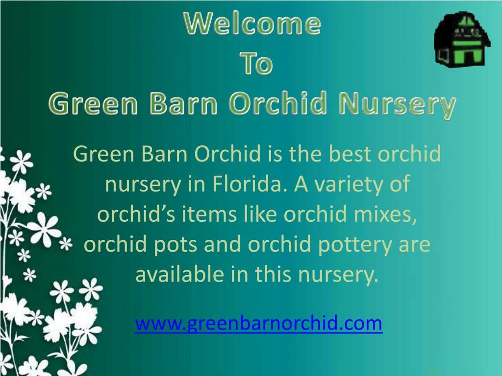 welcome to green barn orchid nursery
