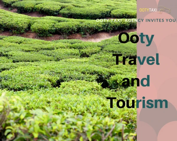 Ooty Tours & Travels