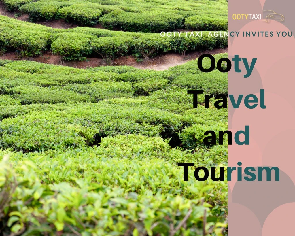 ooty taxi agency invites you ooty travel