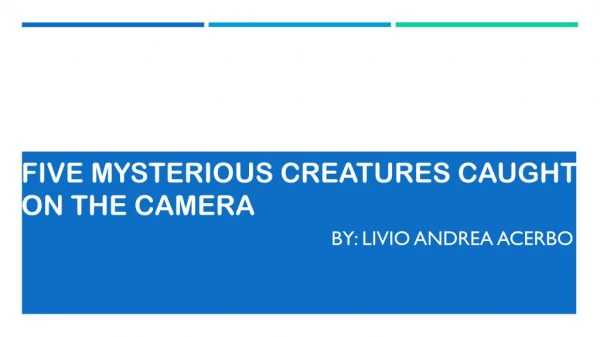 Mysterious Creatures Caught on Camera by Livio Andrea Acerbo