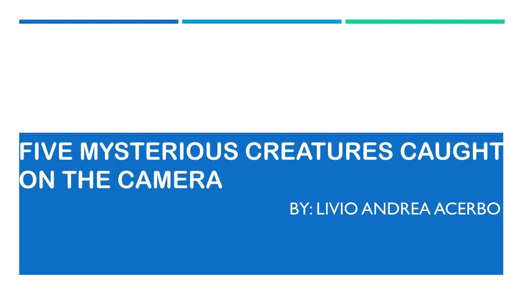 five mysterious creatures caught on the camera