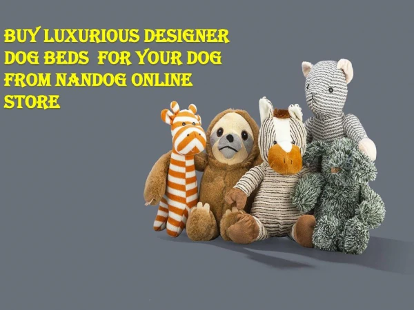 Buy luxurious designer dog beds for your dog from nandog online store