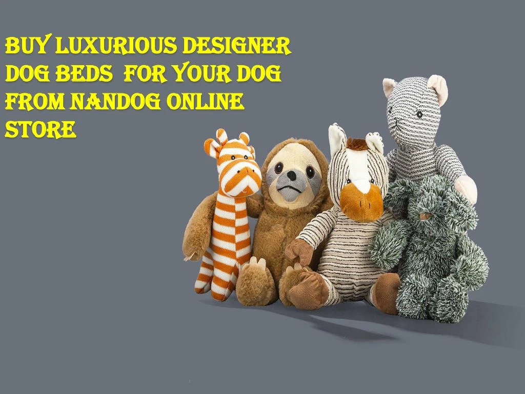 buy luxurious designer dog beds for your dog from