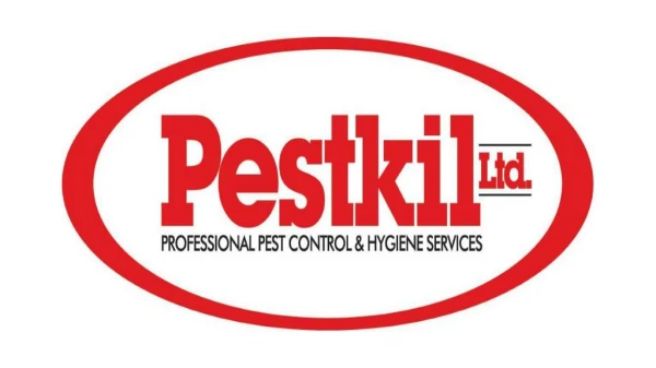 Get High-quality Pest Control Solutions for Your Cayman Property