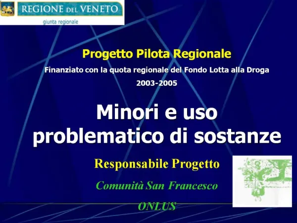Progetto Pilota Regionale Finanziato con la quota regionale del Fondo Lotta alla Droga 2003-2005 Minori e uso problem