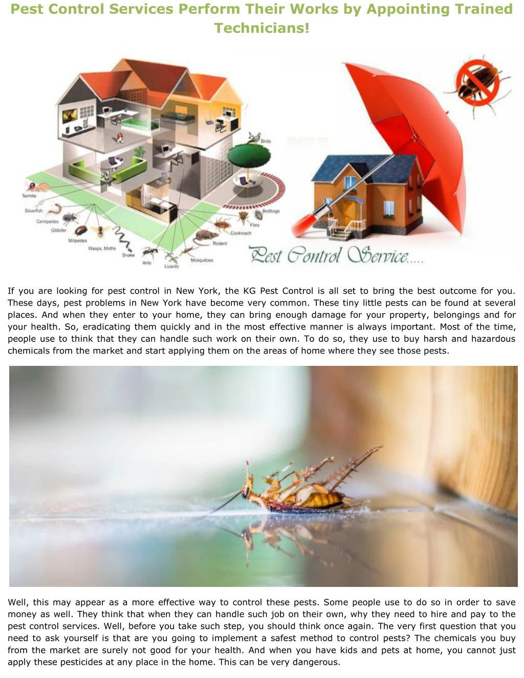 pest control services perform their works