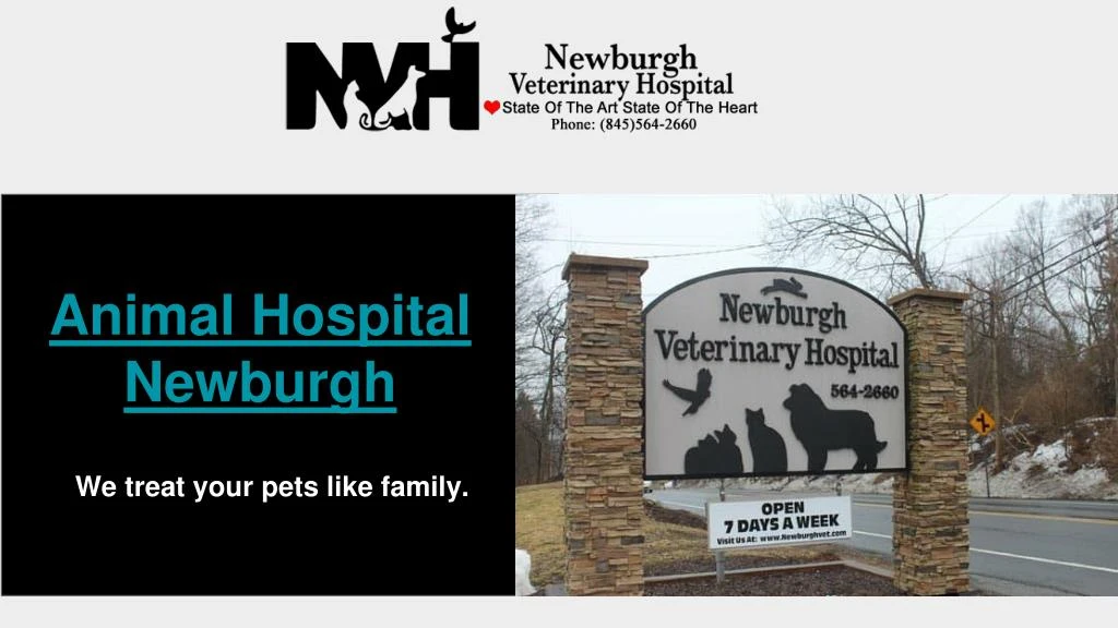 animal hospital newburgh