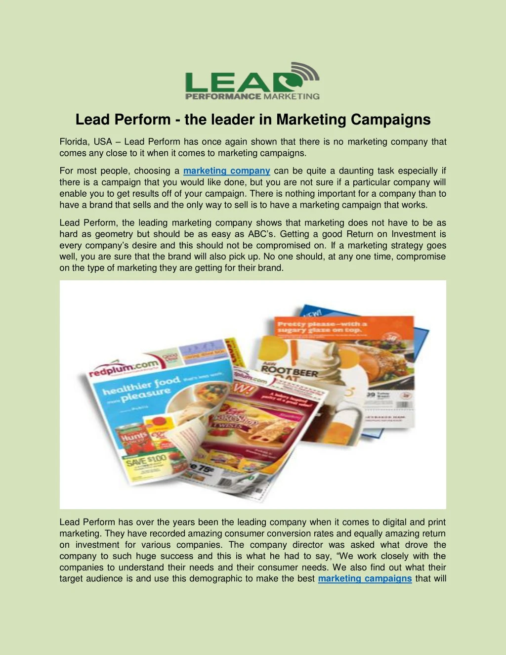 lead perform the leader in marketing campaigns