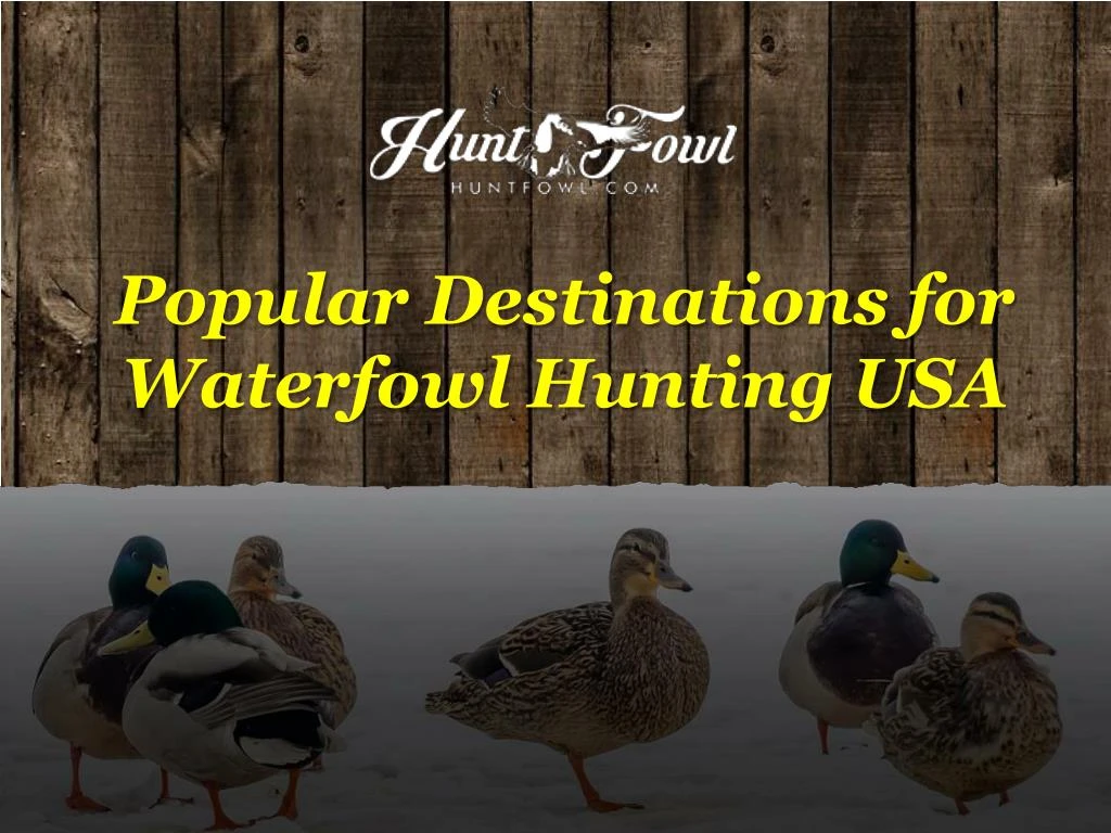 popular destinations for waterfowl hunting usa