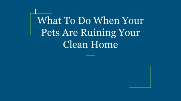 What To Do When Your Pets Are Ruining Your Clean Home