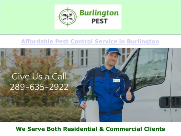 Pest Control Service in Burlington
