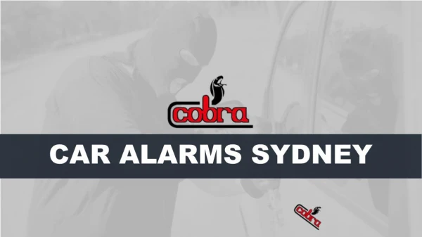 Cobra Alarms - The Name is Enough
