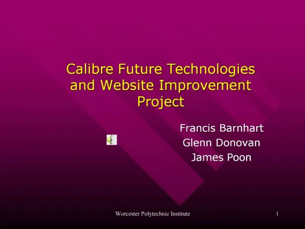 Calibre Future Technologies and Website Improvement Project