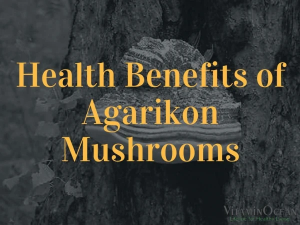 Health Benefits of Agarikon Mushrooms