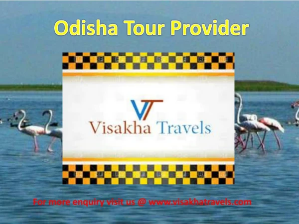 Best Tour Operator in Odisha