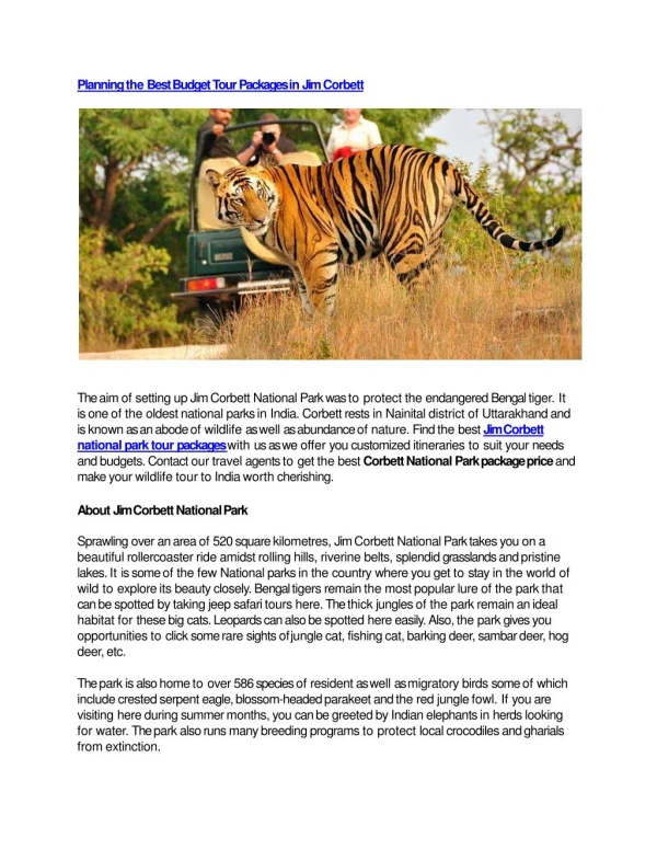 Planning the Best Budget Tour Packages in Jim Corbett