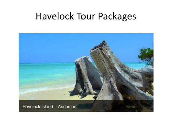 Havelock Holiday Tour Packages