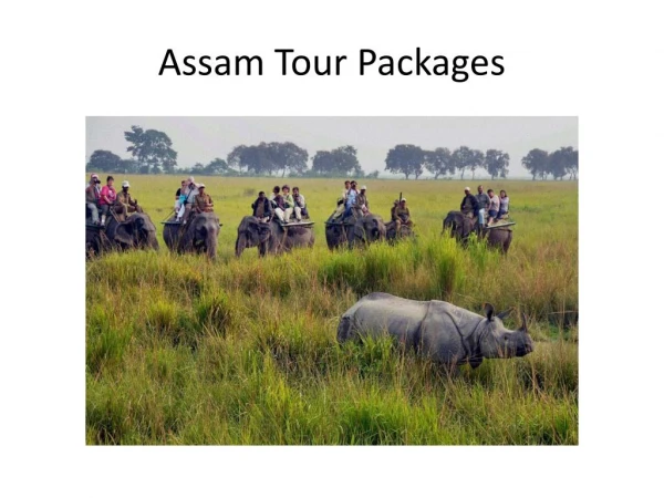 Assam Holiday Tour Packages