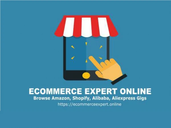 Ecommerce Expert Online -Top Ecommerce Expert