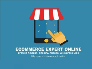 Ecommerce Expert Online -Top Ecommerce Expert - slide 1