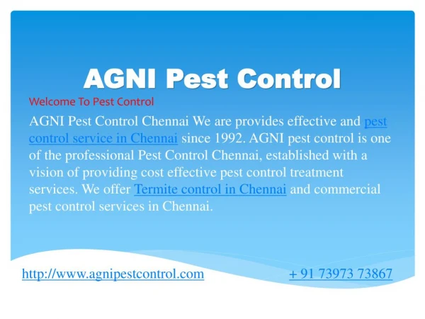 Pest Control Service in chennai