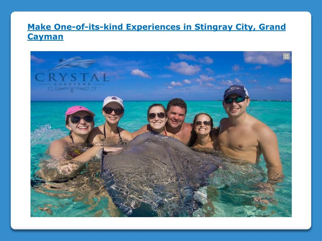 make one of its kind experiences in stingray city