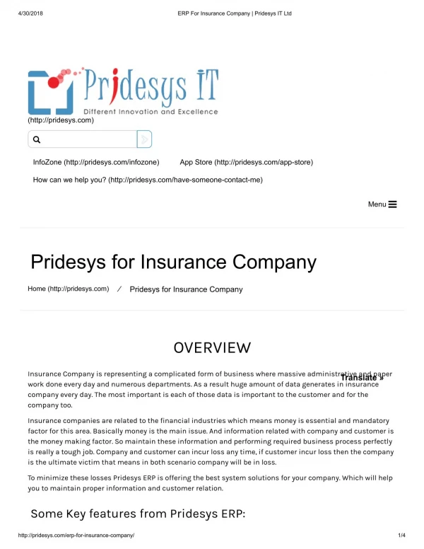 Erp Support Services | Pridesys IT Ltd