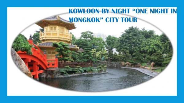 KOWLOON BY NIGHT “ONE NIGHT IN MONGKOK” CITY TOUR