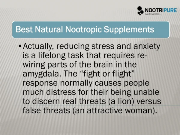Best Natural Nootropic Supplements