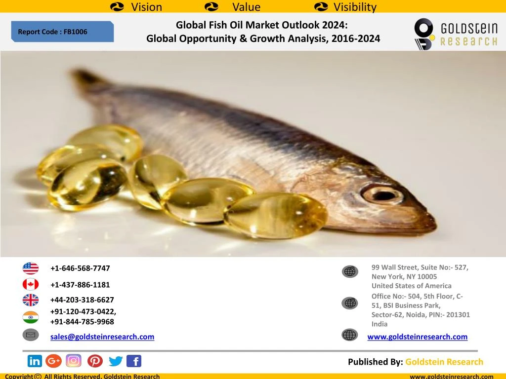 global fish oil market outlook 2024 global