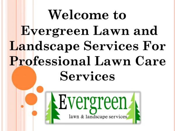 Welcome to evergreen lawn and landscape services for professional lawn care services