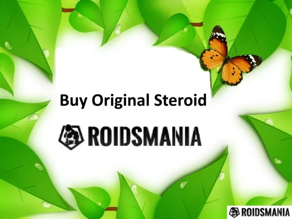Buy Original Steroid