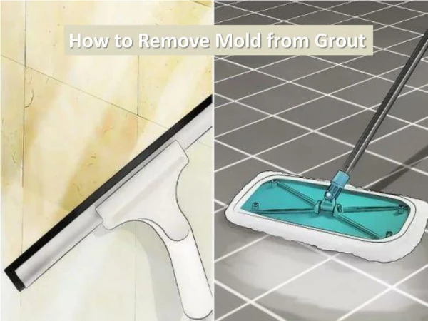 How to Remove Mold from Grout by Carolina Water Damage Restoration