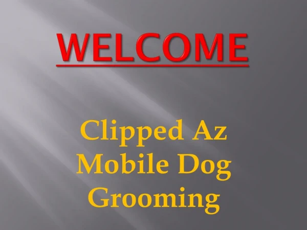 Professional Dog Grooming in Moorabbin