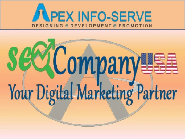 Affordable SEO Company USA | Apex Info-Serve