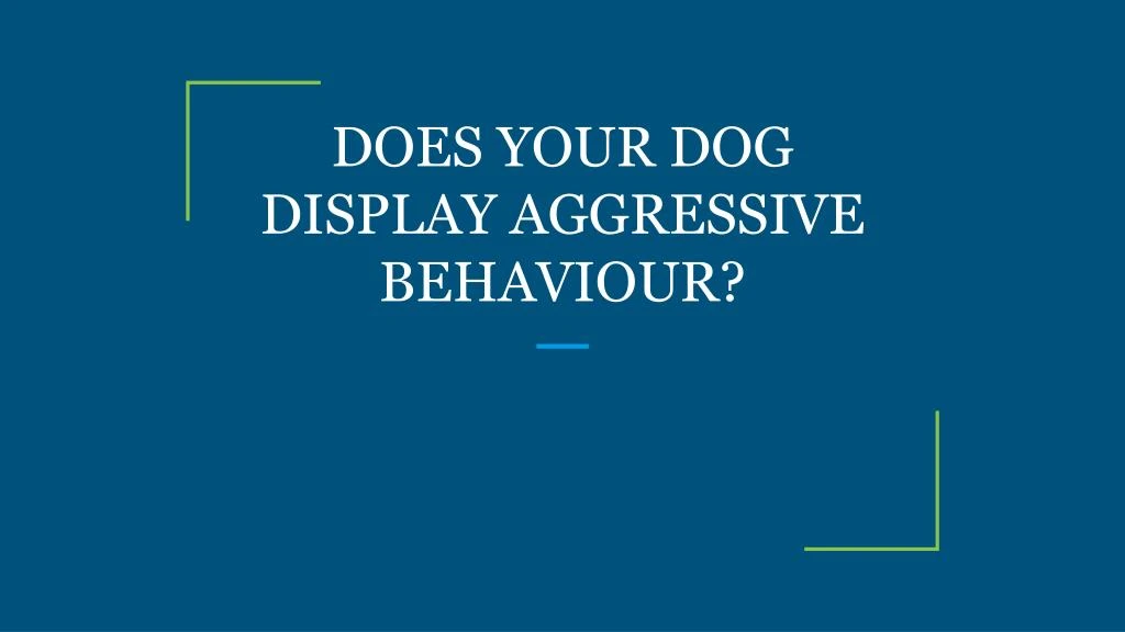 does your dog display aggressive behaviour