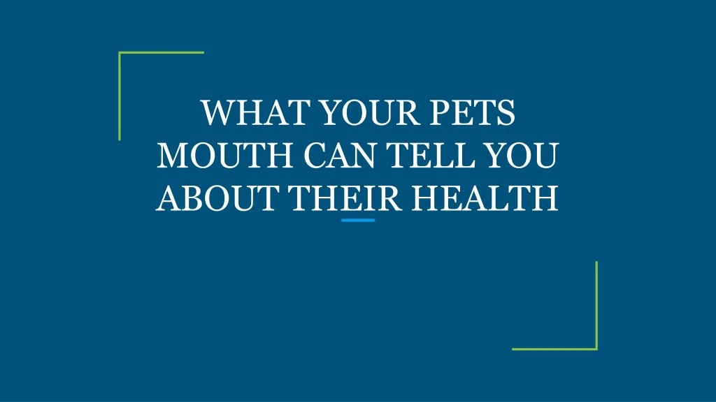 what your pets mouth can tell you about their health