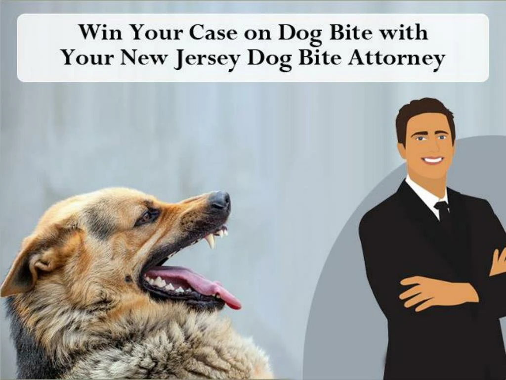 win your case on dog bite with your new jersey dog bite attorney