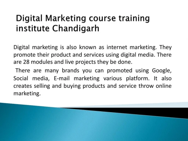 Digital Marketing course training institute chandigarh