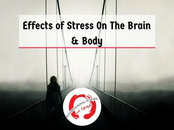 Effects of Stress On The Brain & Body