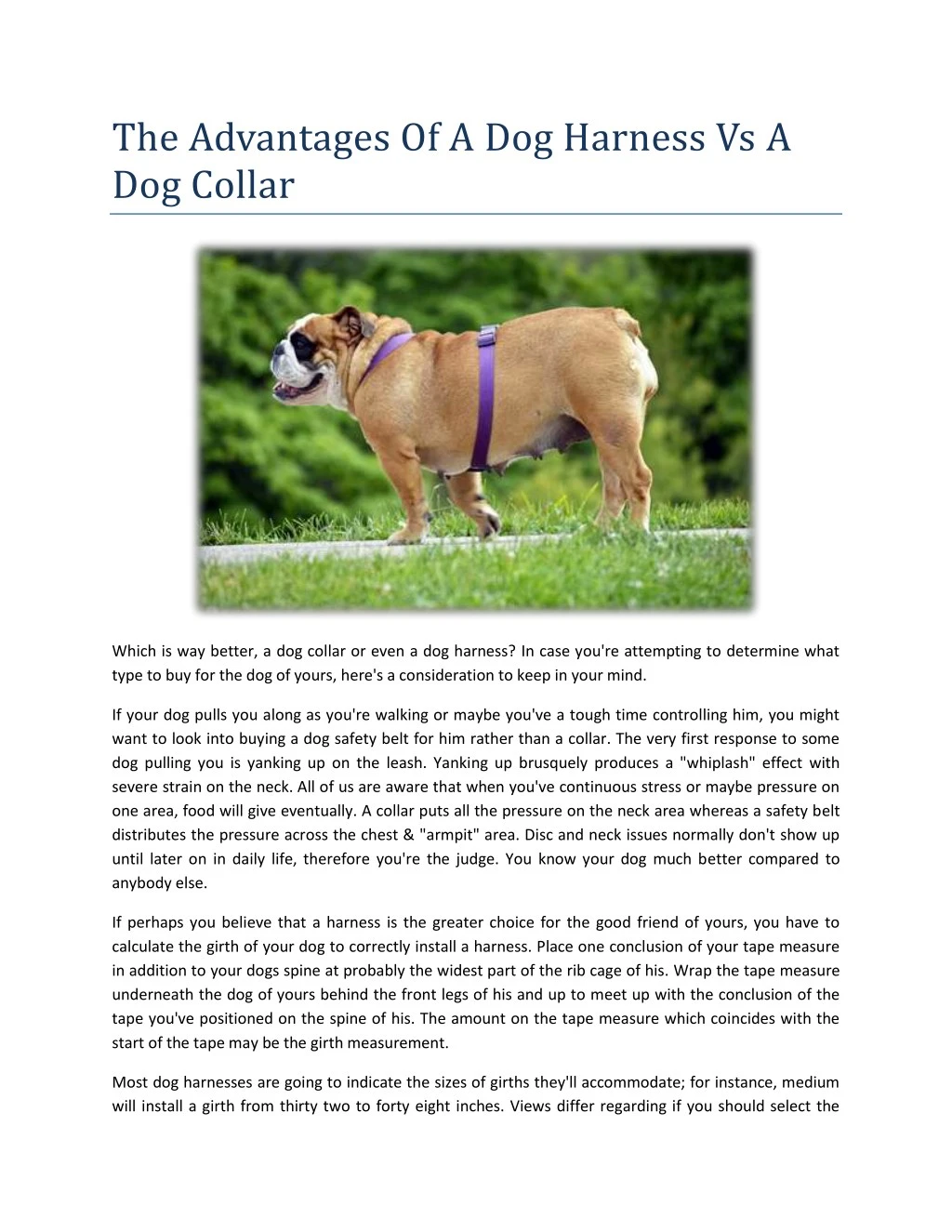 the advantages of a dog harness vs a dog collar