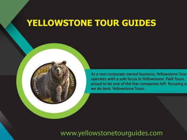 private tour packages in Yellowstone - yellowstonetourguides.com