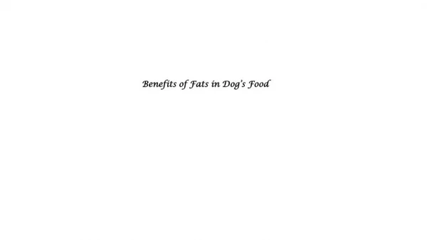 Benefits of Fats in Dogâ€™s Food