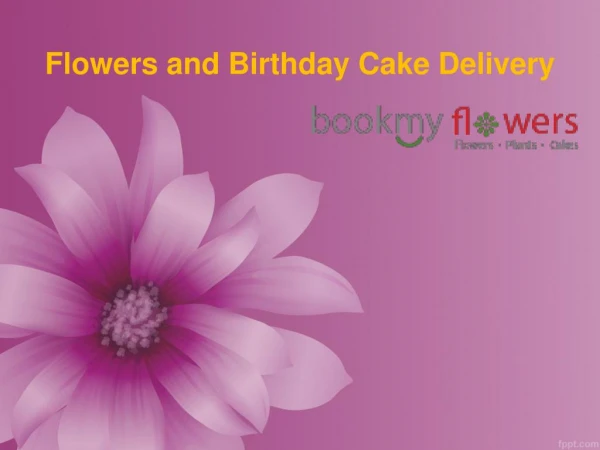 Get Flowers and Birthday Cake Delivery in India