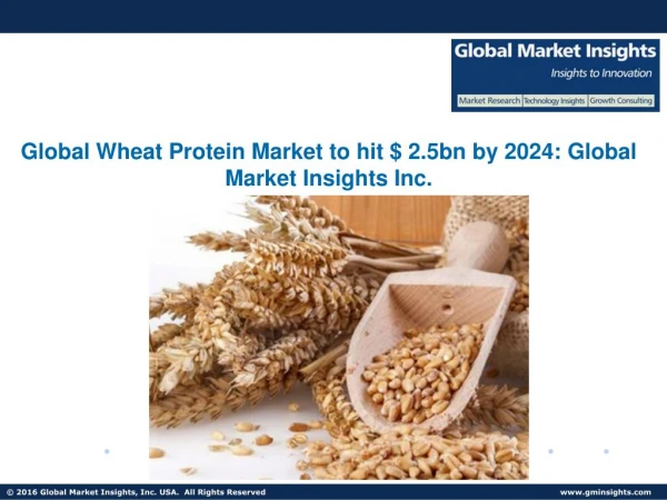 Wheat Protein Market share to grow at 4% CAGR from 2017 to 2024
