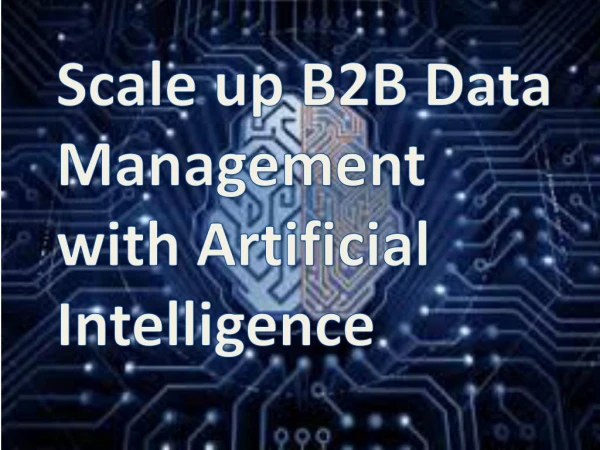 Scale up B2B Data Management with Artificial Intelligence