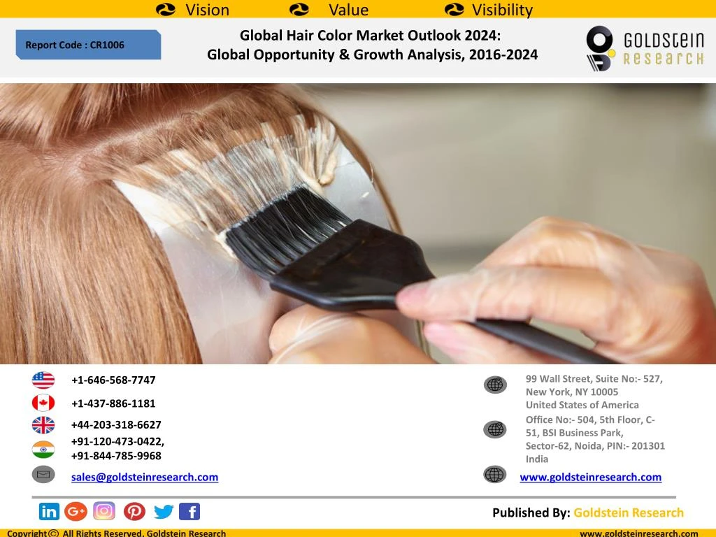 global hair color market outlook 2024 global